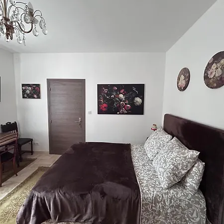 Bed & Breakfast Chez Nelly Parenthese Enchantee En Campagne Toulousaine Bessieres