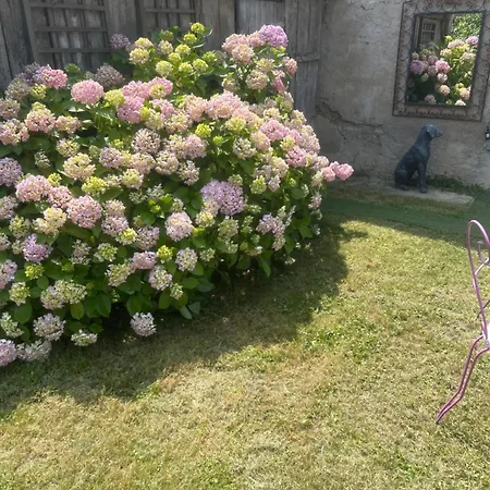 Chez Nelly Parenthese Enchantee En Campagne Toulousaine Bed & Breakfast *