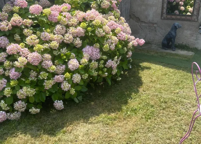 Chez Nelly Parenthese Enchantee En Campagne Toulousaine לינה וארוחת בוקר 3*